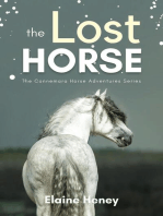 The Lost Horse - Book 6 in the Connemara Horse Adventure Series for Kids: Connemara Horse Adventures, #6