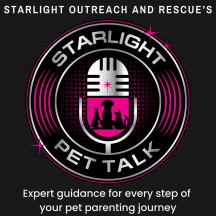 Starlight Pet Talk