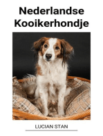 Nederlandse Kooikerhondje