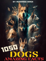 1050 Dogs Amazing Facts