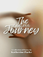 The Endless Journey