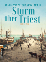 Sturm über Triest: Roman