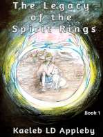 The Legacy of the Spirit Rings