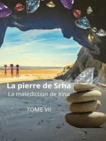 La pierre de Srha: la malédiction de Xina TOME VII