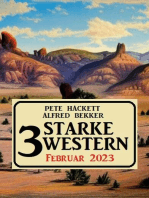 3 Starke Western Februar 2023