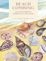 Pocket Nature Series: Beachcombing: Cultivate Mindful Moments by the Shore