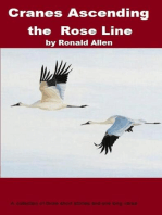 Cranes Ascending the Rose Line