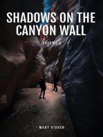 Shadows on the Canyon Wall