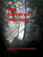 The Sorcerer's Warning