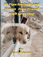 10 Tips for Safe and Stress Free Travel with your Dog