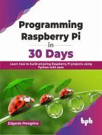 Programming Raspberry Pi in 30 Days: Learn how to build amazing Raspberry Pi projects using Python with ease (English Edition)