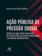 Ação pública de pressão social: modelo de ação como mecanismo de tutela efetiva do direito fundamental à probidade administrativa