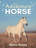 The Adventure Horse - Book 5 in the Connemara Horse Adventure Series for Kids