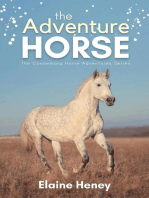 The Adventure Horse - Book 5 in the Connemara Horse Adventure Series for Kids: Connemara Horse Adventures, #5