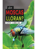 ¿Las moscas lloran?: Does a Fly Cry?