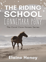 The Riding School Connemara Pony - The Coral Cove Horses Series