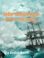 Shipwrecked on a Island