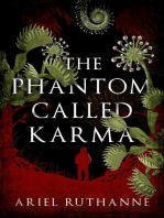 The Phantom Called Karma