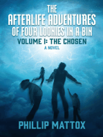 The Afterlife Adventures of Four Loonies in a Bin: Volume I: The Chosen