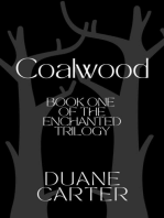 Coalwood: The Enchanted Trilogy, #1