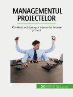 Managementul proiectelor