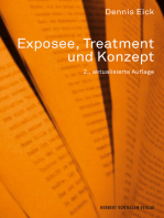 Exposee, Treatment und Konzept