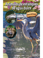 Animales de estanques de agua dulce