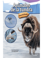 Animales de la tundra: Tundra Animals