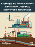 Challenges and Recent Advances in Sustainable Oil and Gas Recovery and Transportation
