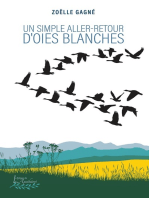 Un simple aller-retour d'oies blanches