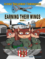 Acorn Squadron Chronicles