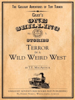 Terror in a Wild Weird West: The Gaslight Adventures of Tom Turner, #3