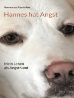 Hannes hat Angst