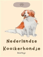 Nederlandse Kooikerhondje