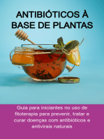 Antibióticos À Base De Plantas