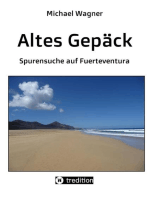 Altes Gepäck - Roman