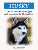 Siberian Husky: Nutrition, character, training and much more about the Siberian Husky