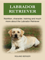 Labrador Retriever: Nutrition, character, training and much more about the Labrador Retriever