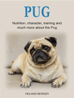 Pug