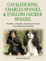 Cavalier King Charles Spaniel and English Cocker Spaniel: Nutrition, character, training and much more about the Spaniel Dog