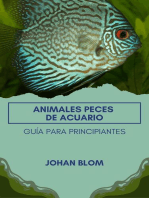 Peces de acuario