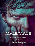 Male/Male Mystery & Suspense Box Set 2