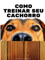 Como Treinar Seu Cachorro