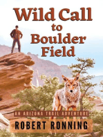 Wild Call to Boulder Field