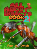 ALL About Insects