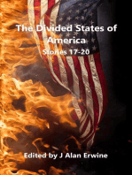 The Divided States of America: Stories 17-20