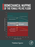 Biomechanical Mapping of the Female Pelvic Floor