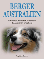 Berger Australien : Education, Formation, Caractère du Australian Shepherd