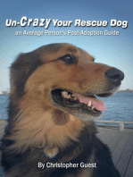 Un-Crazy Your Rescue Dog: an Average Person's Post-Adoption Guide