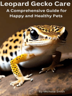 Leopard Gecko Care